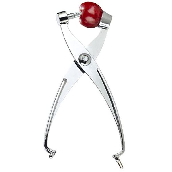 Rosenstein & Söhne Kirschenentsteiner