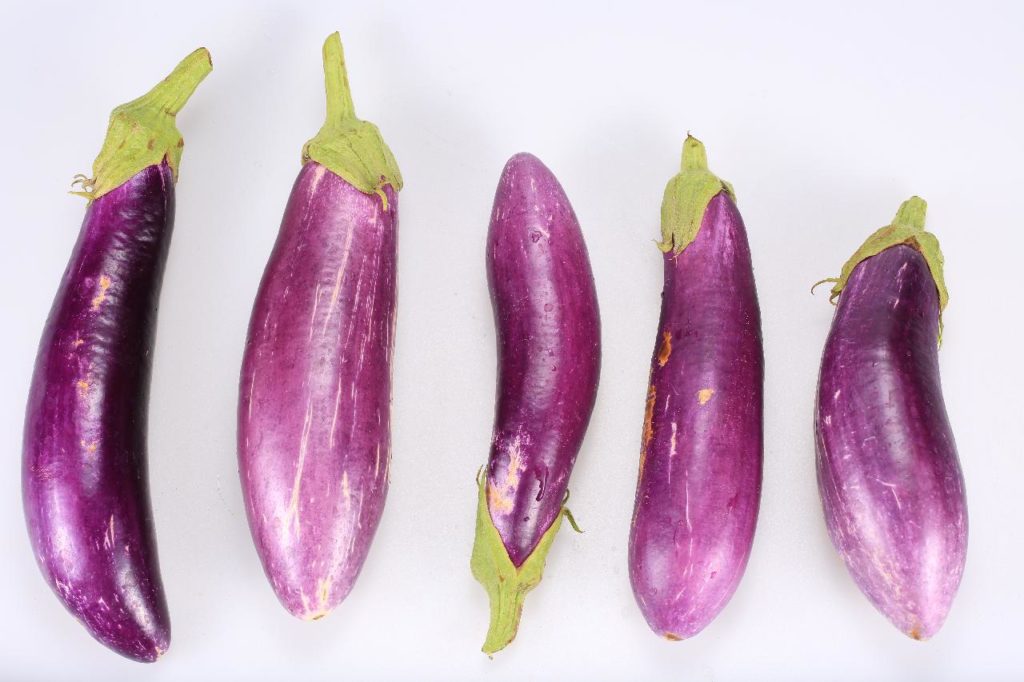 Aubergine